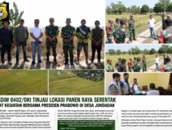 Kasdim 0402/OKI Tinjau Lokasi Panen Raya Serentak Presiden Prabowo di Desa Jukdadak